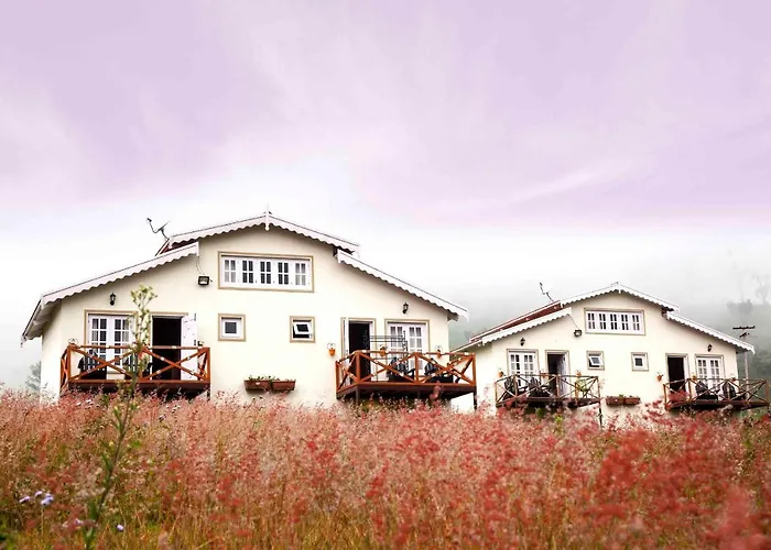 The Realm